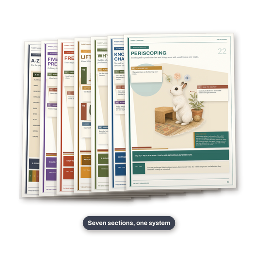 Rabbit Language, Rabbit Body Language and Trust Guide