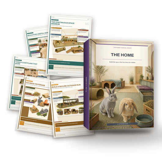 The Home, Rabbit Proofing and Indoor Setup Guide